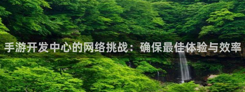 大神28评测：手游开发中心的网络挑战：确保最佳体验与效率