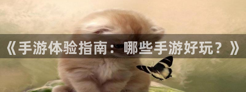 28大神专业版下载地址：《手游体验指南：哪些手游好玩？》