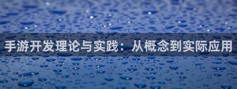 大神28专业版：手游开发理论与实践：从概念到实际应用