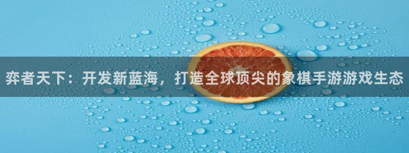 大神28专业版：弈者天下：开发新蓝海，打造全球顶尖的象棋手游