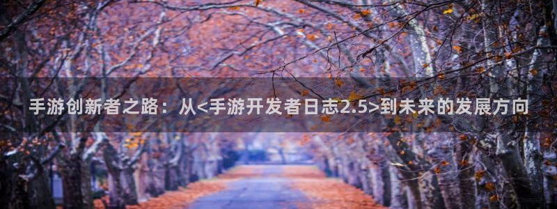 大神28预测官网：手游创新者之路：从<手游开发者日志2.5>