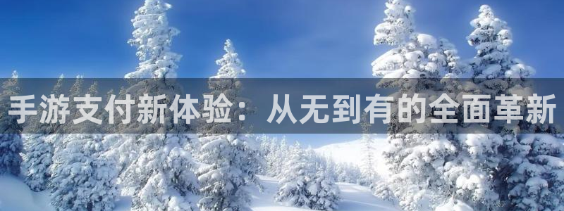 大神在线开奖28：手游支付新体验：从无到有的全面革新