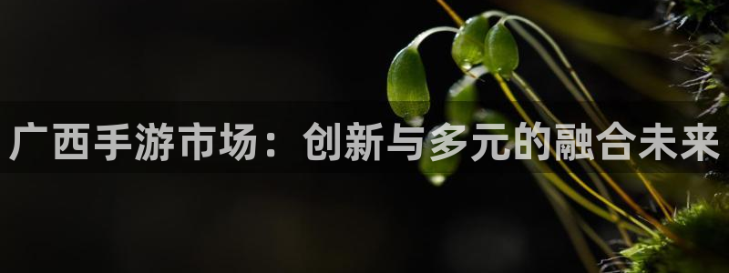 大神28杀：广西手游市场：创新与多元的融合未来