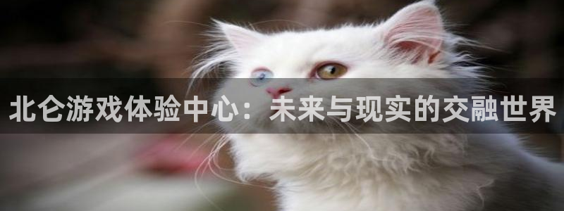 28大神结果查询：北仑游戏体验中心：未来与现实的交融世界