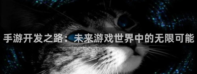 大神28开奖官网查询：手游开发之路：未来游戏世界中的无限可能