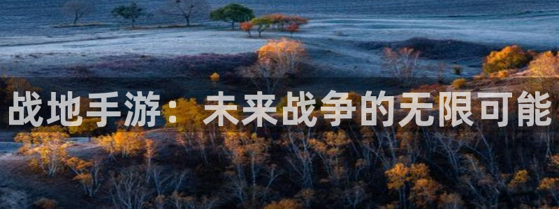 28大神官网苹果：战地手游：未来战争的无限可能