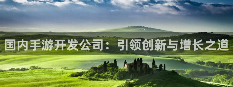 最新28大神预测：国内手游开发公司：引领创新与增长之道