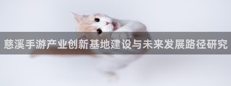 最新28大神预：慈溪手游产业创新基地建设与未来发展路径研究