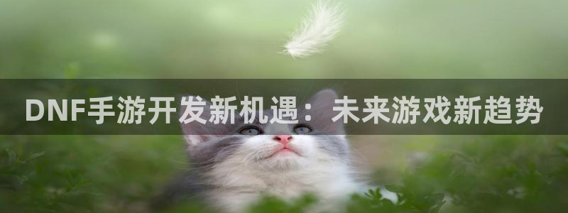 28大神新版：DNF手游开发新机遇：未来游戏新趋势