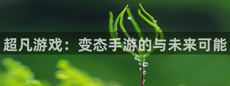 最新28大神预：超凡游戏：变态手游的与未来可能