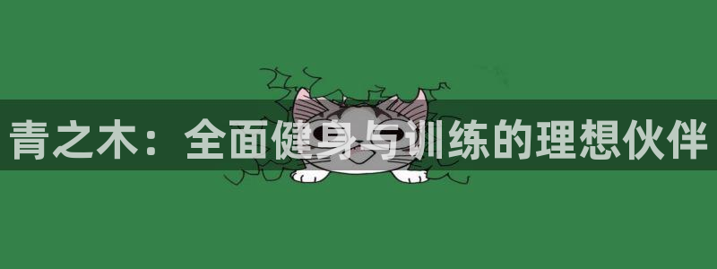 3377体育官网下载：青之木：全面健身与训练的理想伙伴