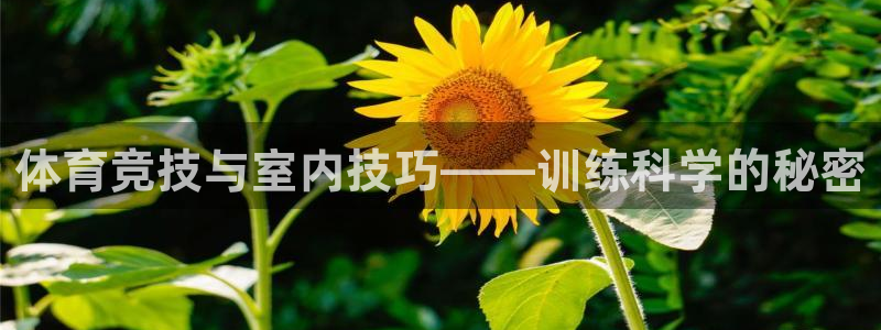 3377体育在线登录官网入口：体育竞技与室内技巧——训练科学的秘密