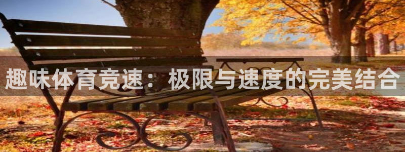 3377体育官网入口下载最新：趣味体育竞速：极限与速度的完美结合