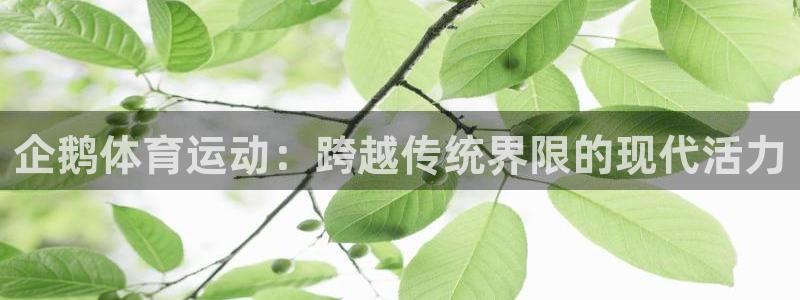 3377体育app官网下载地址：企鹅体育运动：跨越传统界限的现代活力
